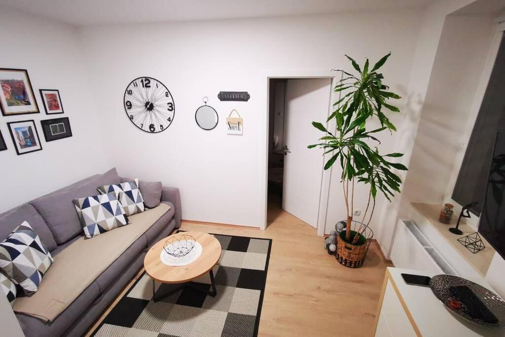 Brand New Place In Heart Of Zagreb, Big Terrace Apartment